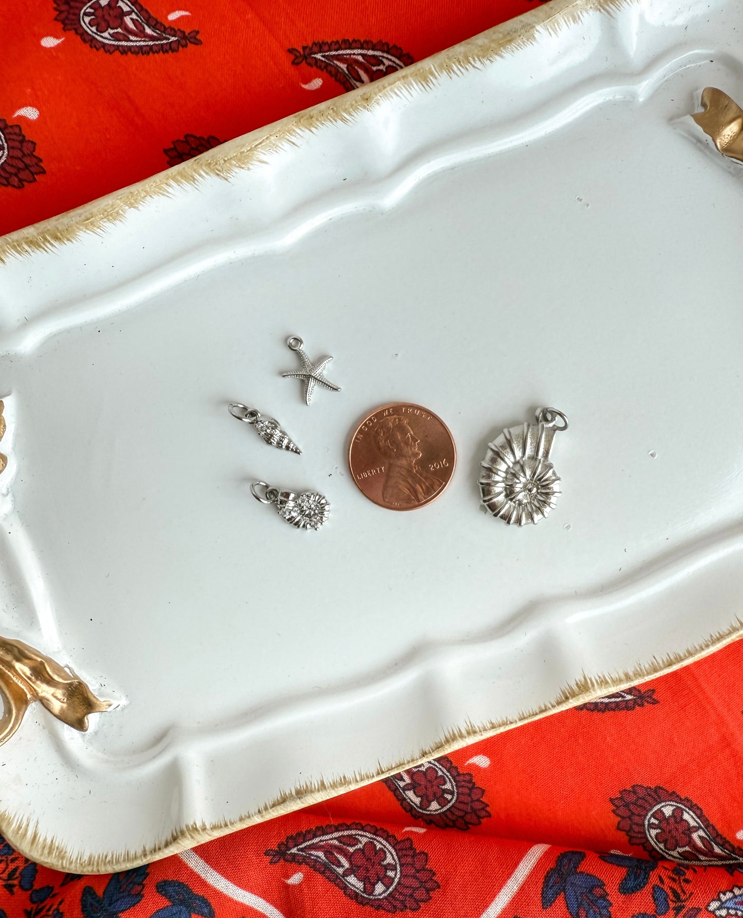 Shell Charms