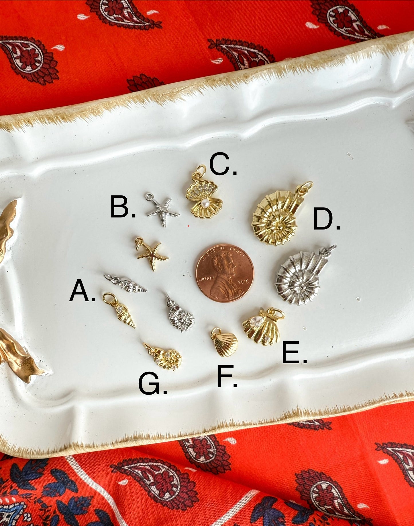 Shell Charms