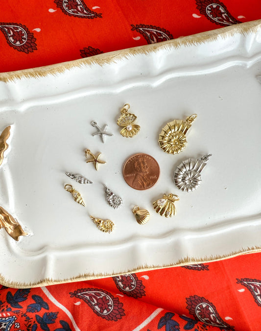 Shell Charms